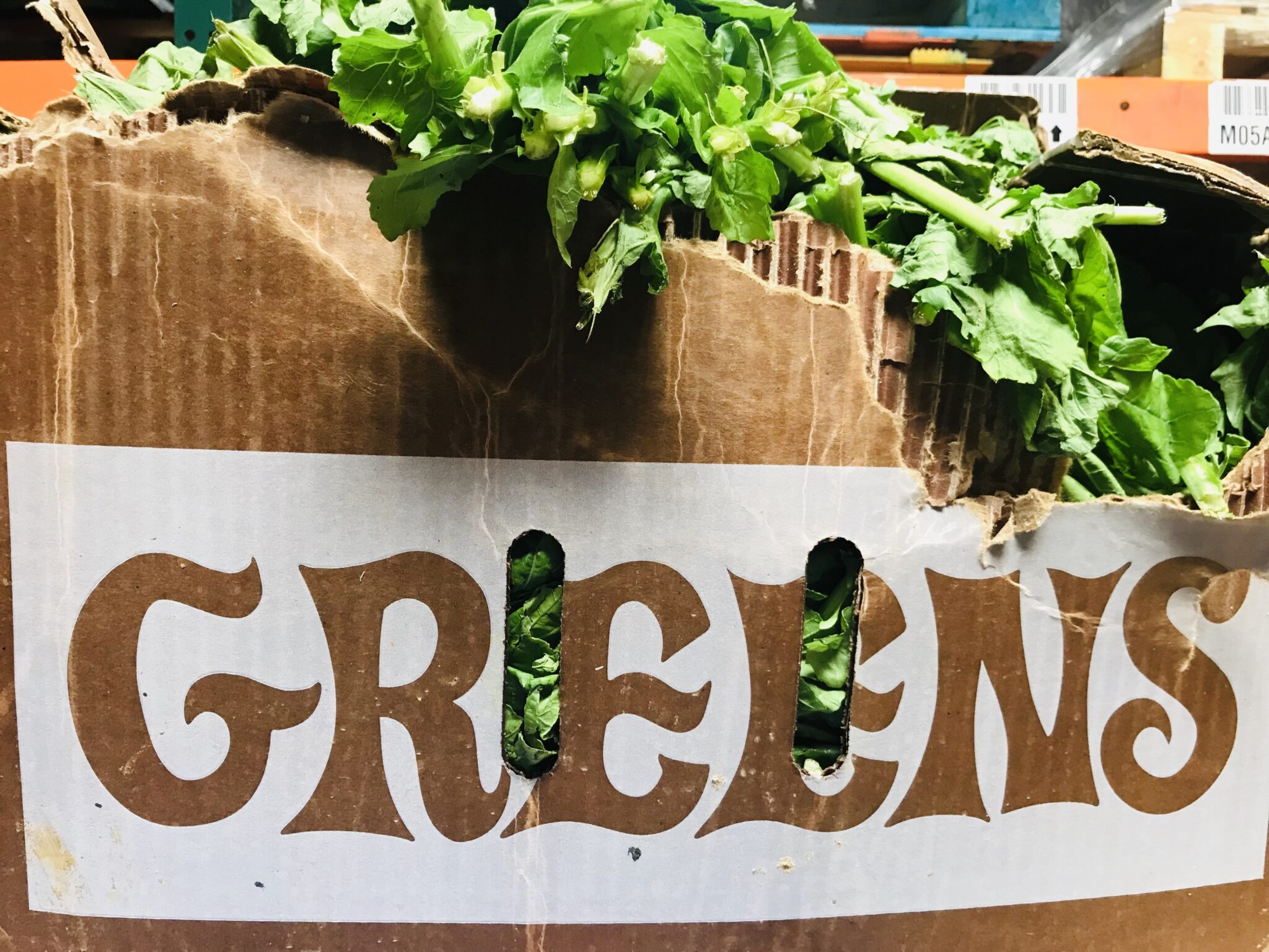 Calling all gardeners! &ndash; Feed More