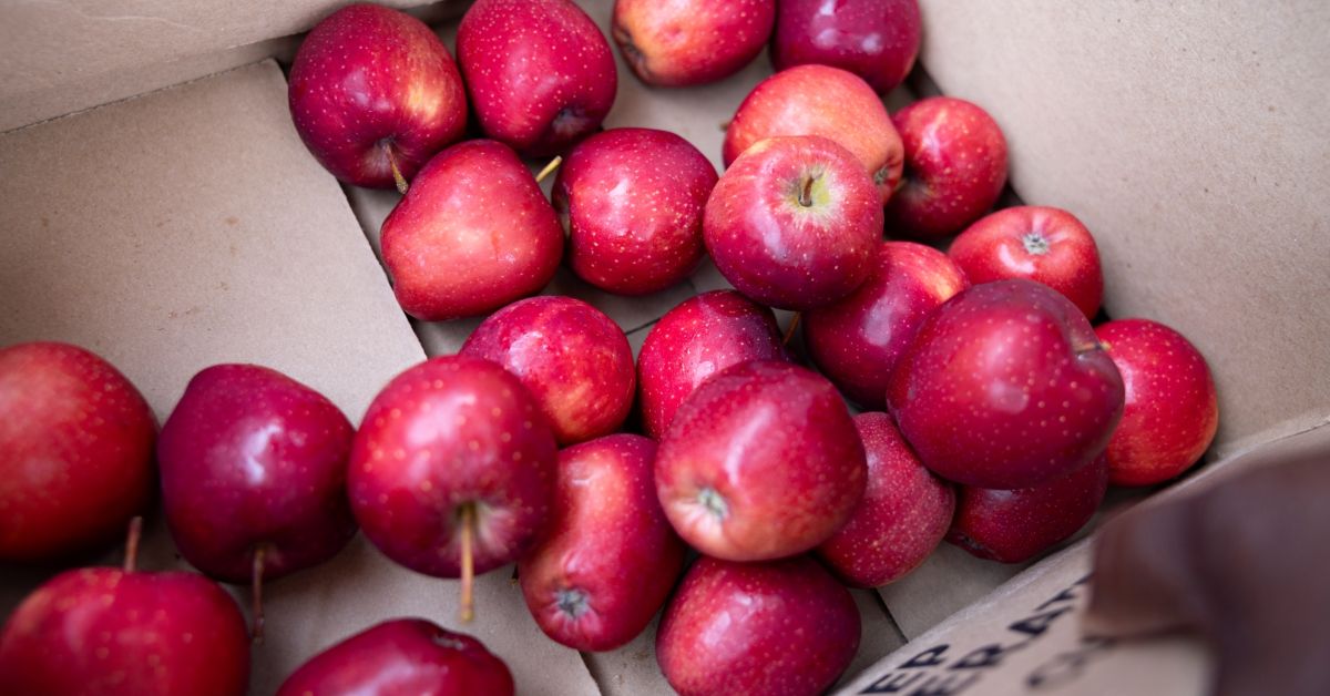 Box of apples at Feed More partner agency distribution that is fighting against episodic food insecurity.