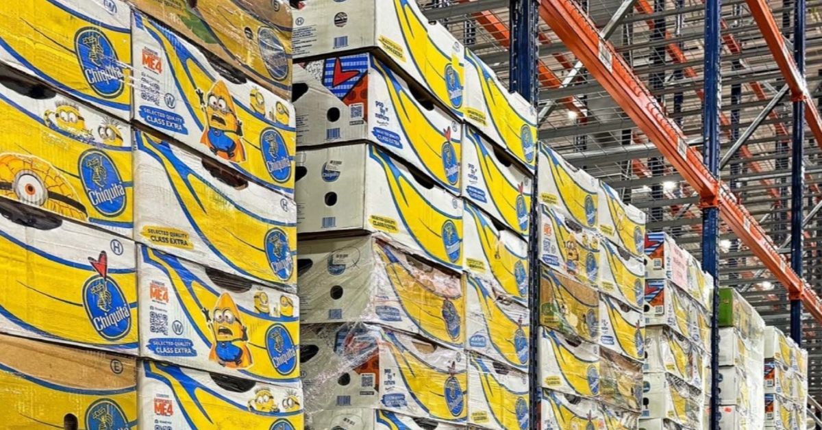 Banana boxes in Feed More's new space that is purpose built and designed to better serve our community.