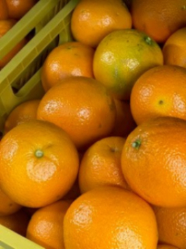 A bin filled with fresh oranges, ready to be distributed to neighbors through Feed More's Help Line.