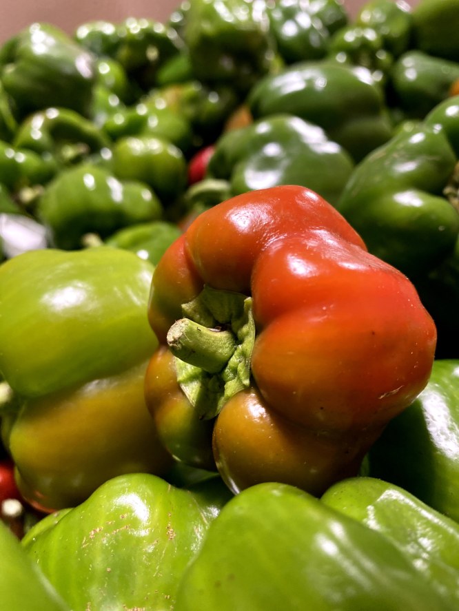 A close-up of a box filled with green and red bell peppers, showcasing the fresh produce available through Feed More.