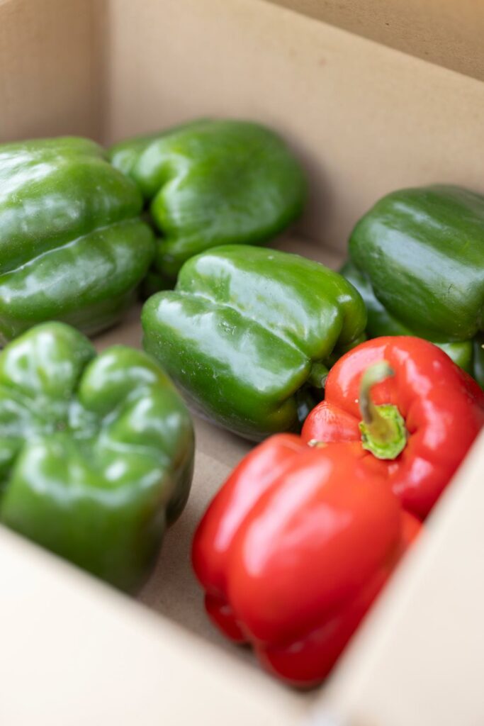 A pile of fresh green and red bell peppers, highlighting the produce available through Feed More SNAP assistance.