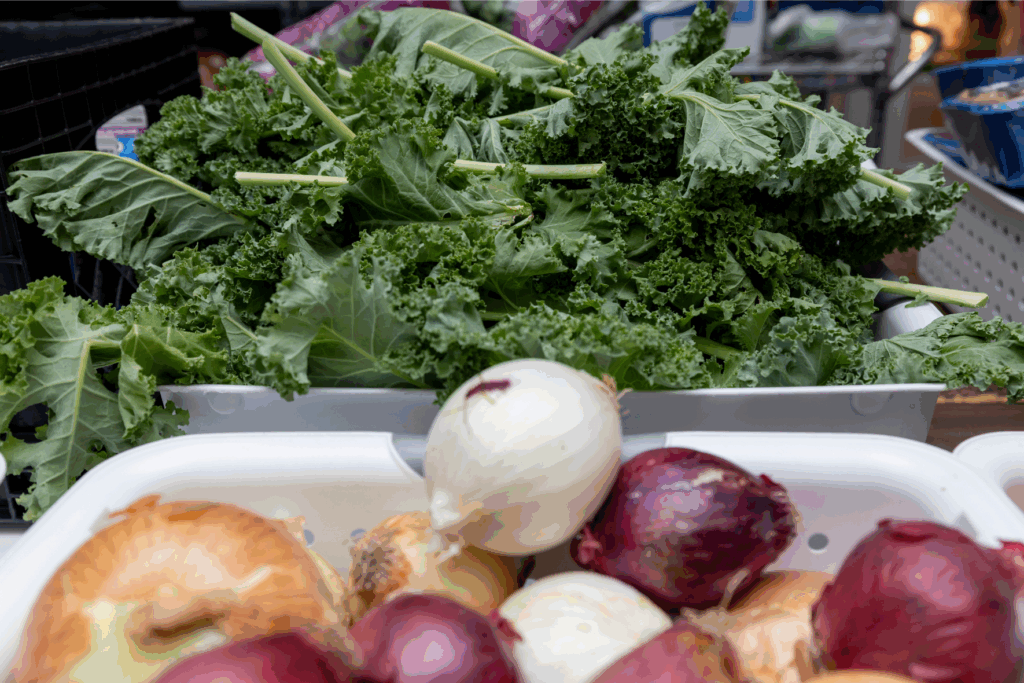 Fresh produce at a Feed More partner food pantry distribution.