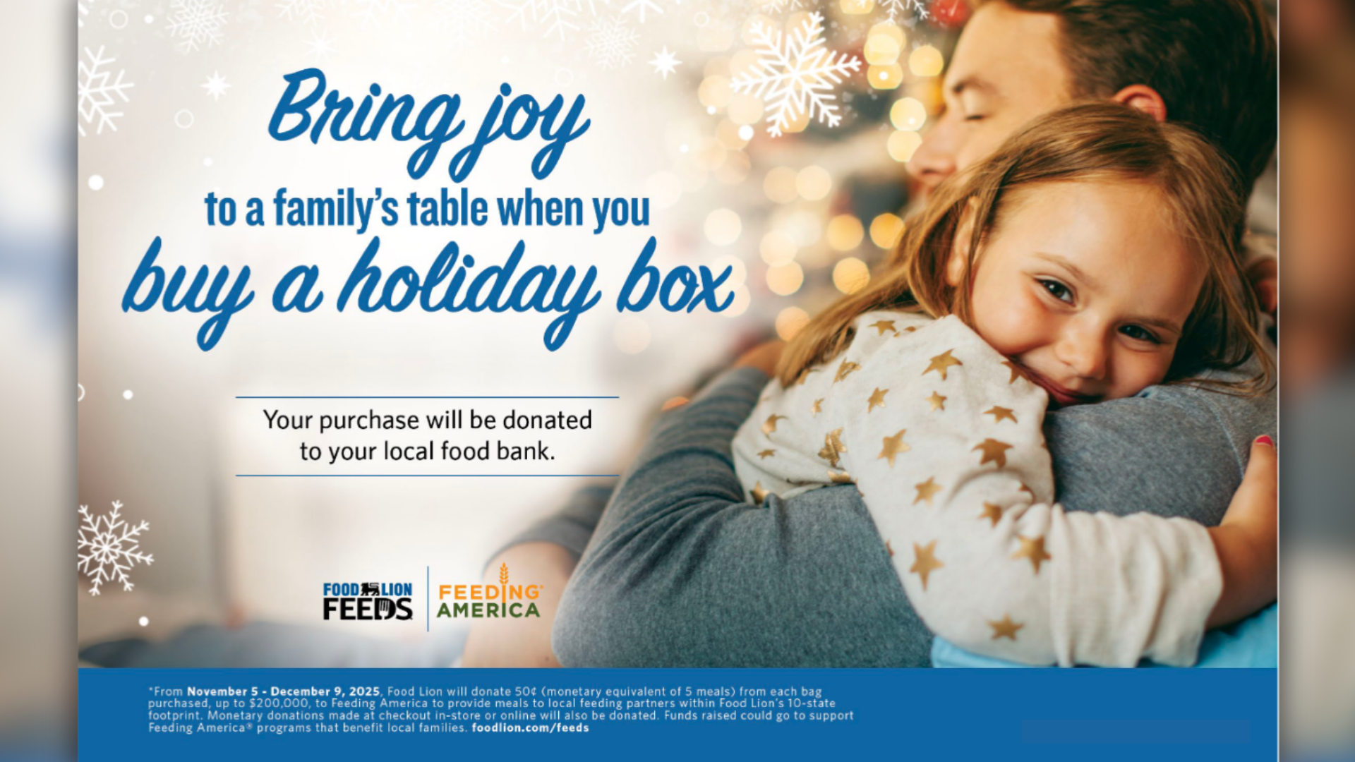 Food Lion Feeds Holidays without Hunger banner image