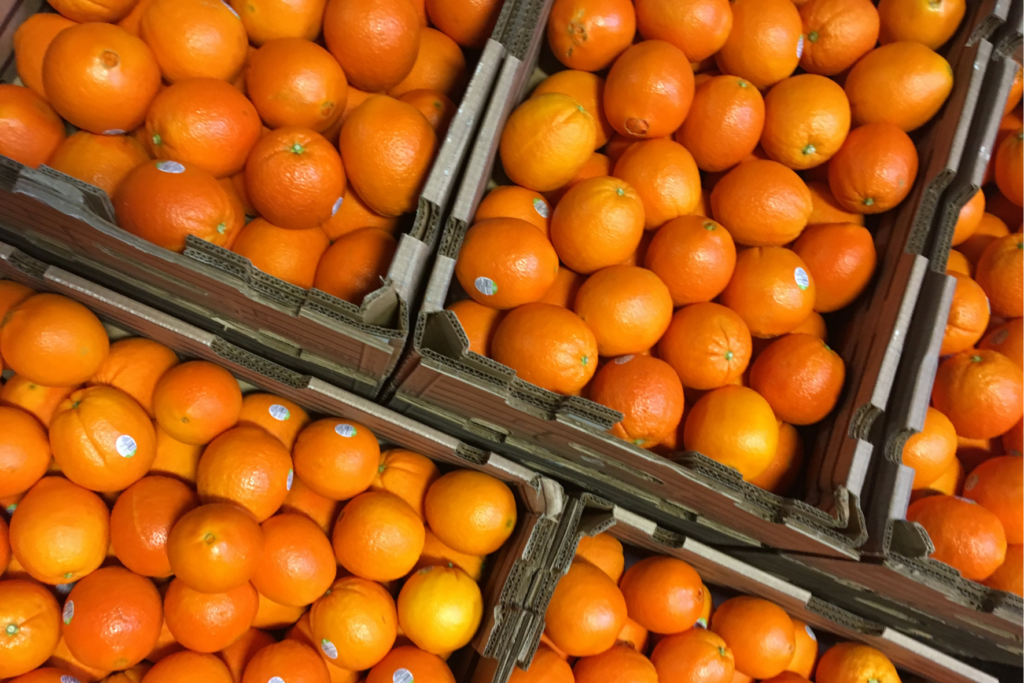 Oranges in Feed More's Distribution Center. Food as Medicine partnership - Feed More Anthem Blue Cross and Blue Shield Foundation and Feeding America Strenghten Community Health Through Food as Medicine Partnership